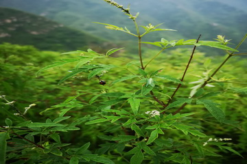 021 J9集团|国际站官网