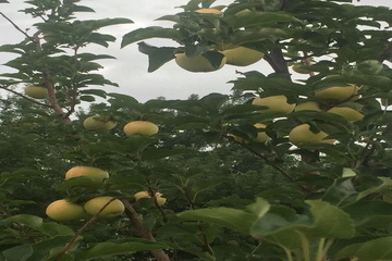027 J9集团|国际站官网