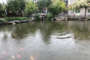 060 J9集团|国际站官网