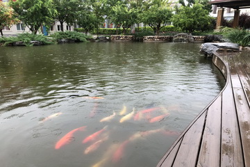 064 J9集团|国际站官网