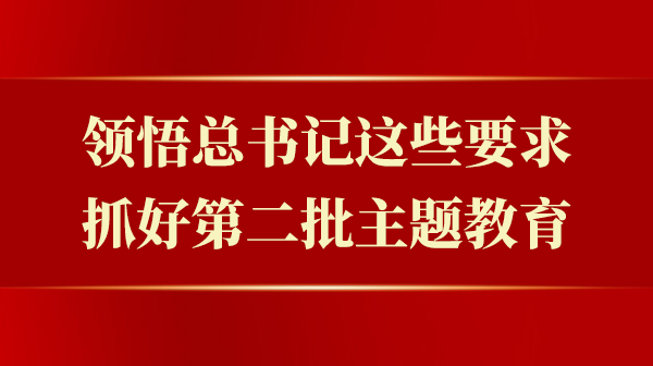 领悟总书记这些要求，抓好第二批主题教育